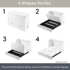 Key West Murphy Cabinet Bed with Pullout Drawer