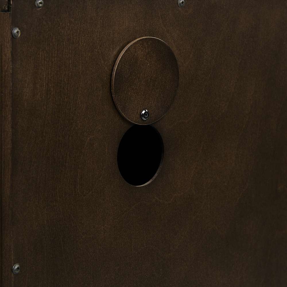 Blair Sideboard CF4220-BR in Dark Brown/Gold