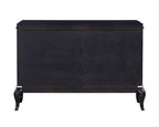 Ashor Console Cabinet AC02599 in Black Finish