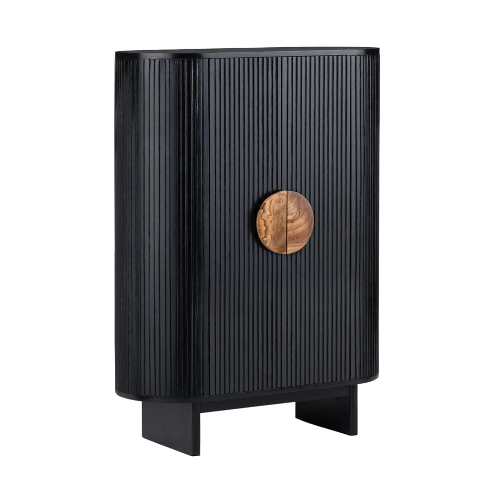 Paloma 2 Door Accent Cabinet CVFDR1172 in Black