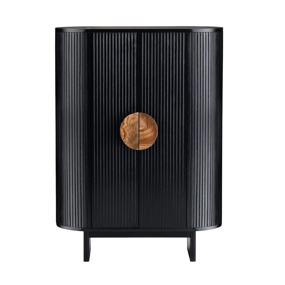 Paloma 2 Door Accent Cabinet CVFDR1172 in Black