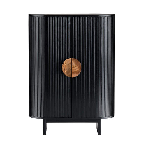 Paloma 2 Door Accent Cabinet CVFDR1172 in Black