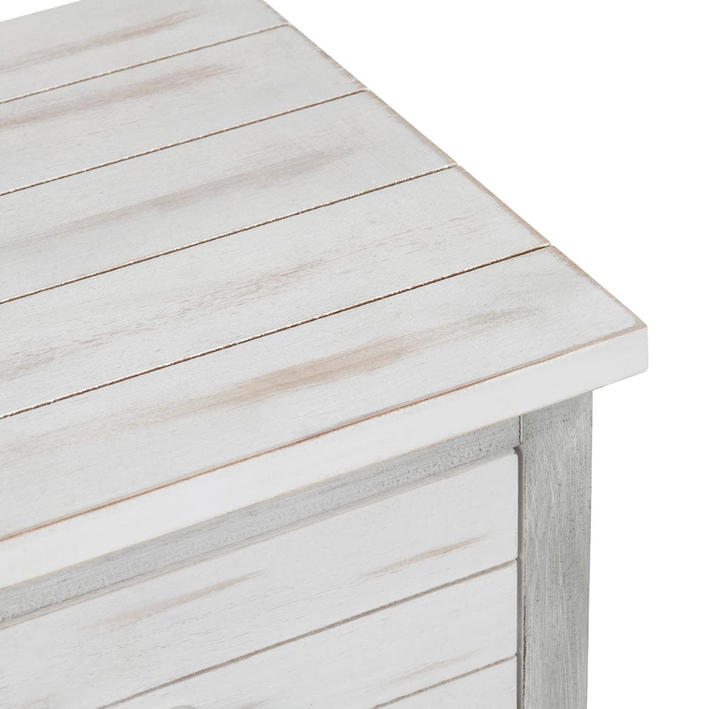 2 Drawer 2 Door Accent Cabinet CVFZR6205 in White