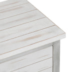 2 Drawer 2 Door Accent Cabinet CVFZR6205 in White