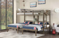 Hortense Triple Twin Bunk Bed FOA-BK659GY-BED in Warm Gray